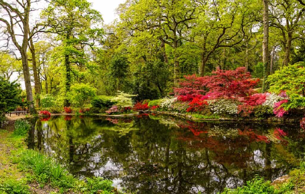 Jardines Exbury