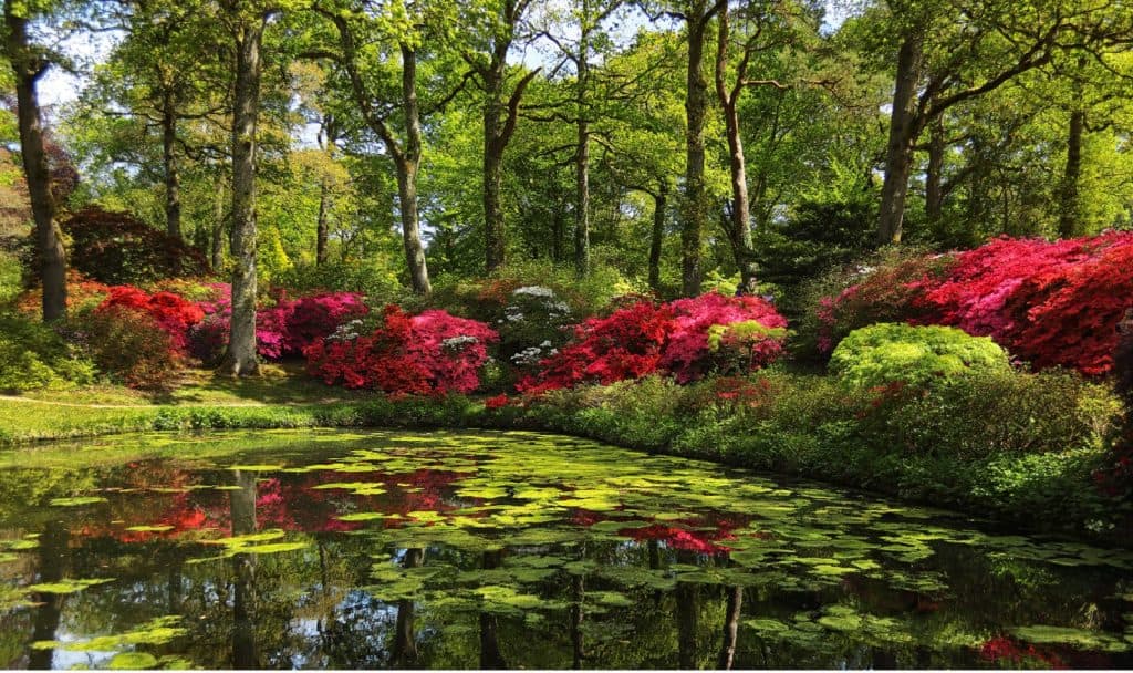 Exbury Gardens