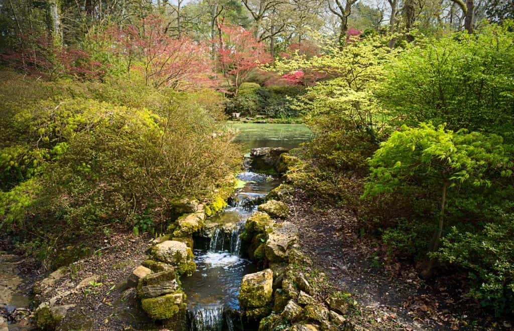 Exbury Gardens
