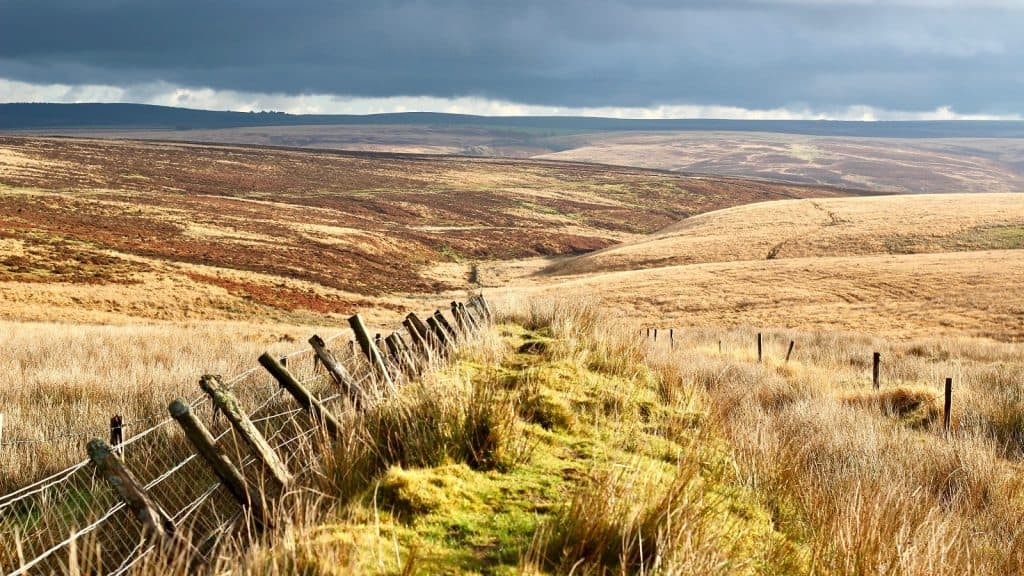 Exmoor