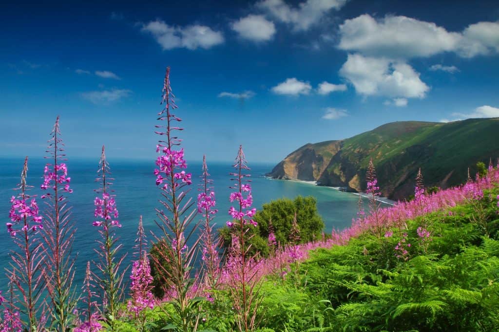 Exmoor