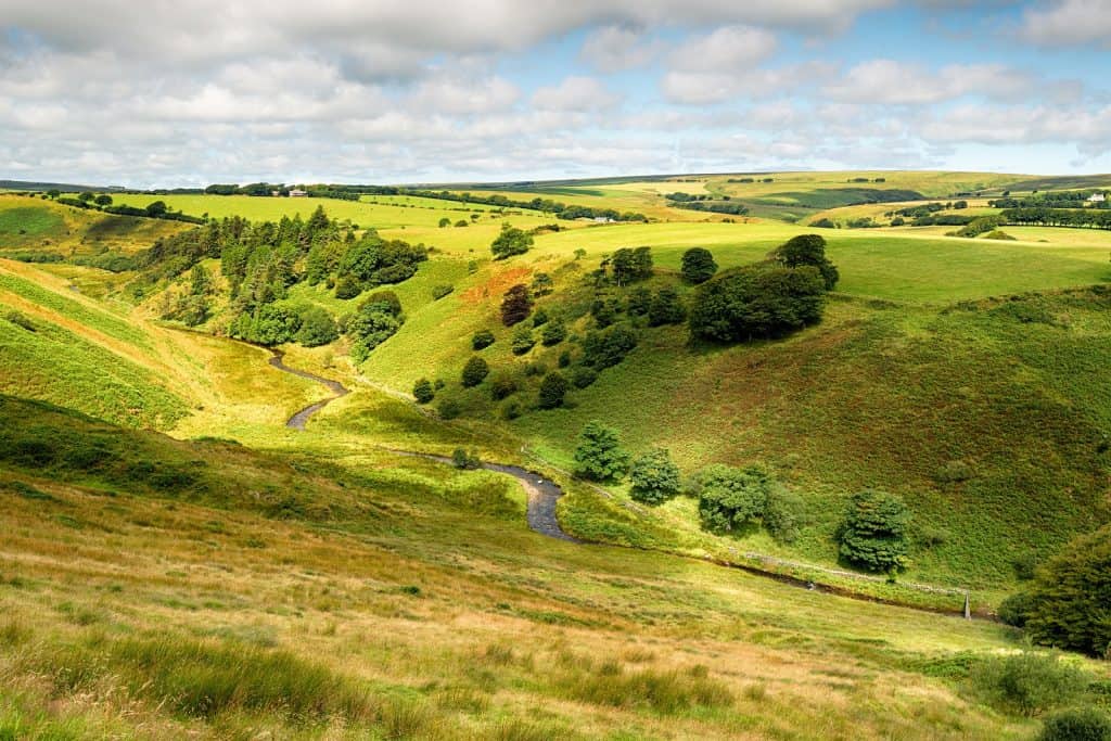 Exmoor
