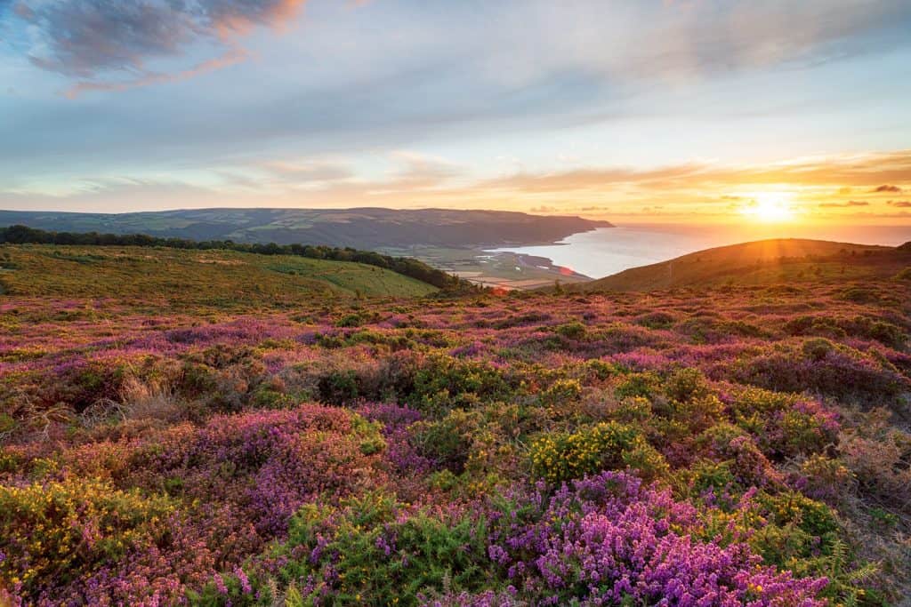 Parque Nacional de Exmoor