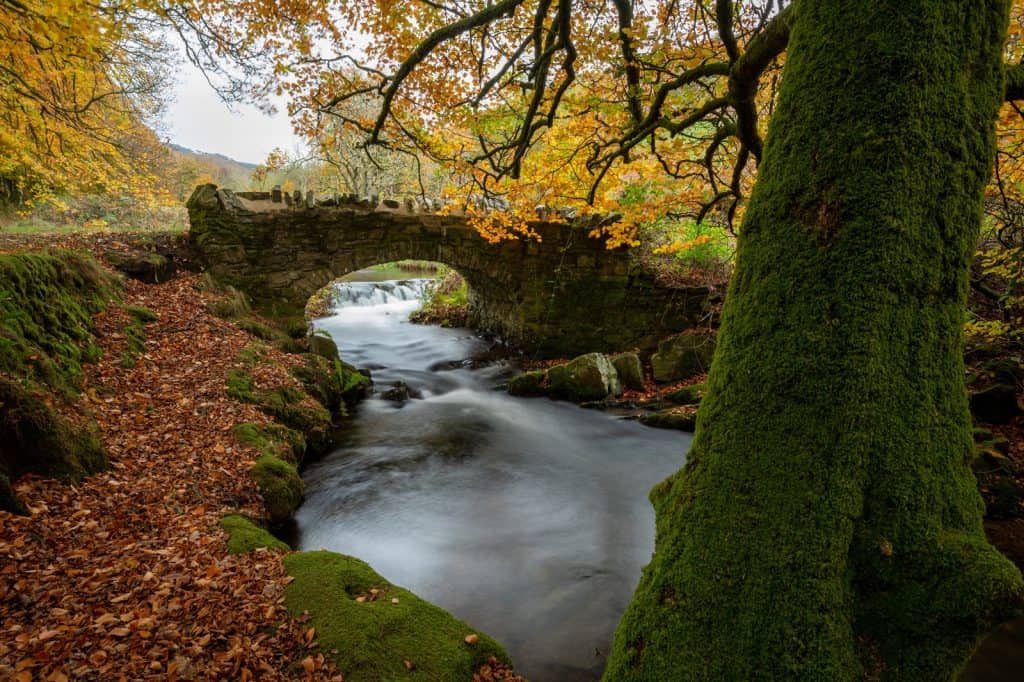 Parque Nacional de Exmoor