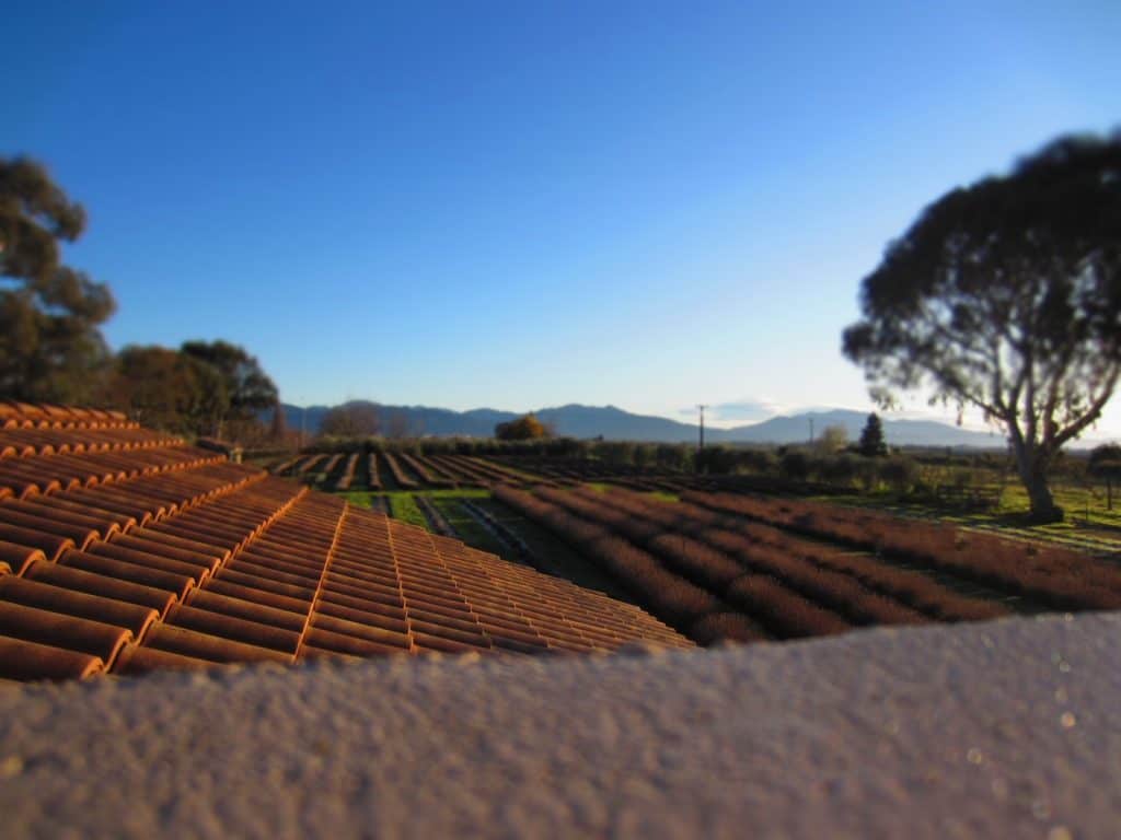 Farms