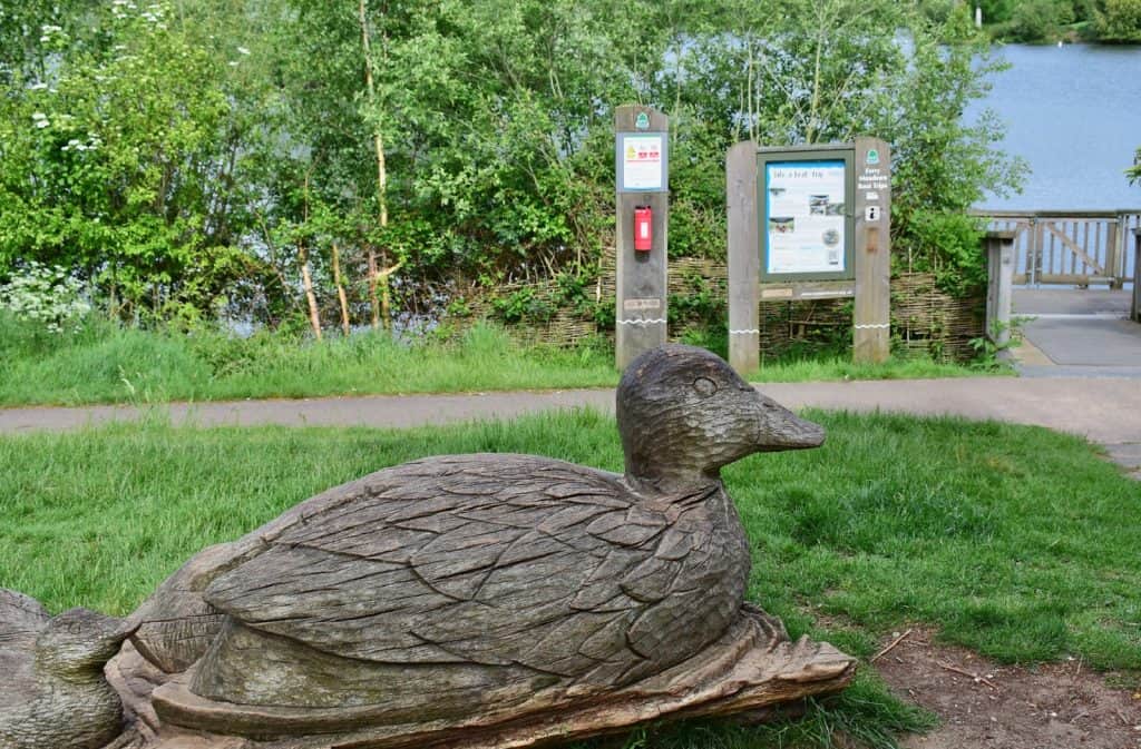 Ferry Meadows en Nene Park