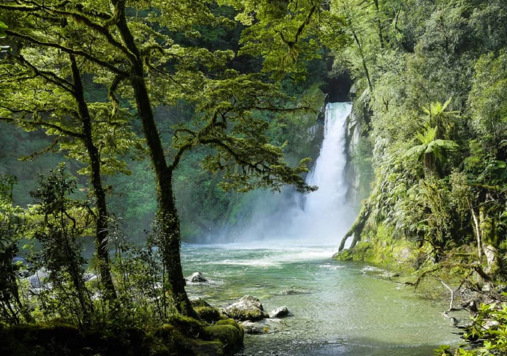 Fiordland National Park