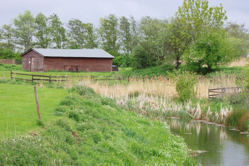 Parque Arqueológico Flag Fen