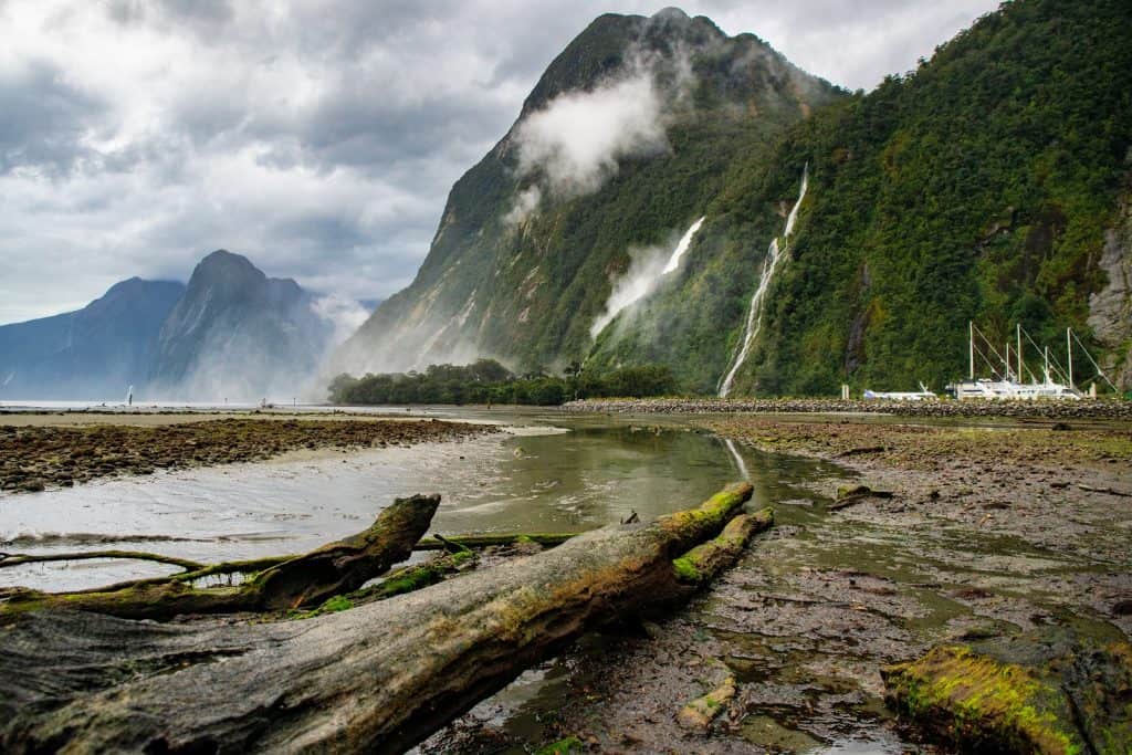 Foreshore Walk