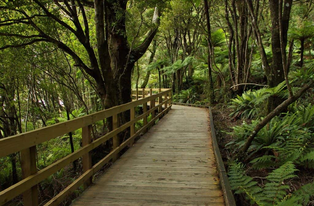Foreshore Walk