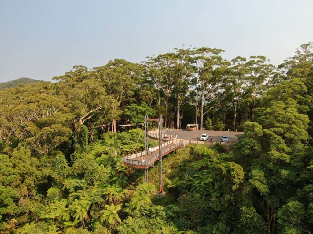 Forest Sky Pier