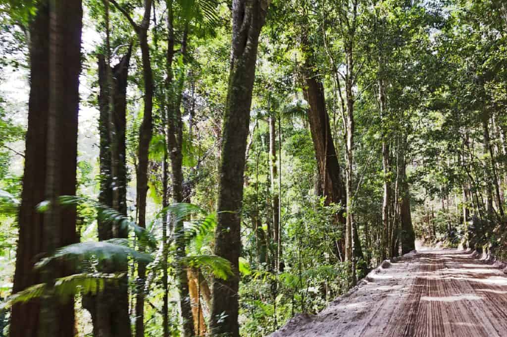 Fraser Island