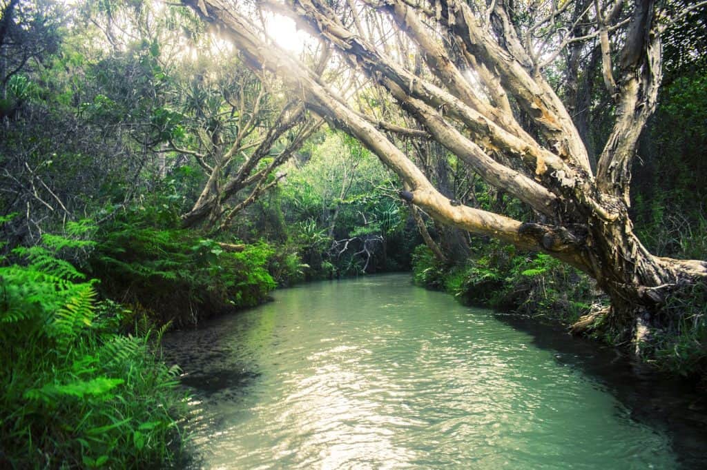 Fraser Island