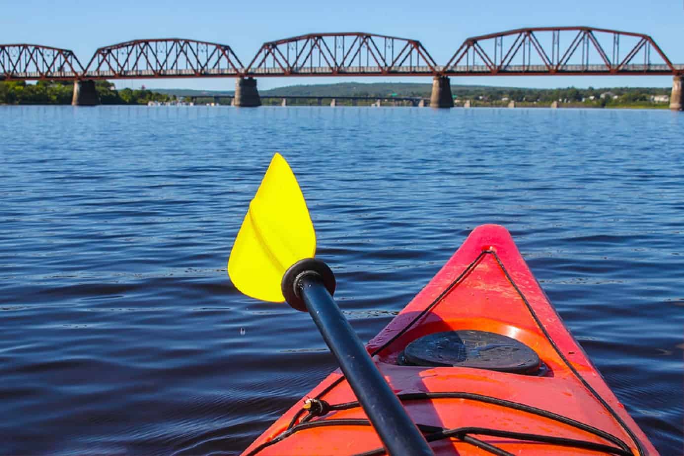 University of New Brunswick