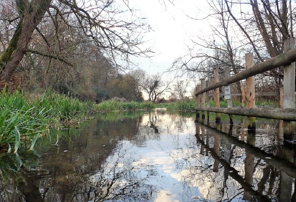 Reserva Natural Frogmore Meadows