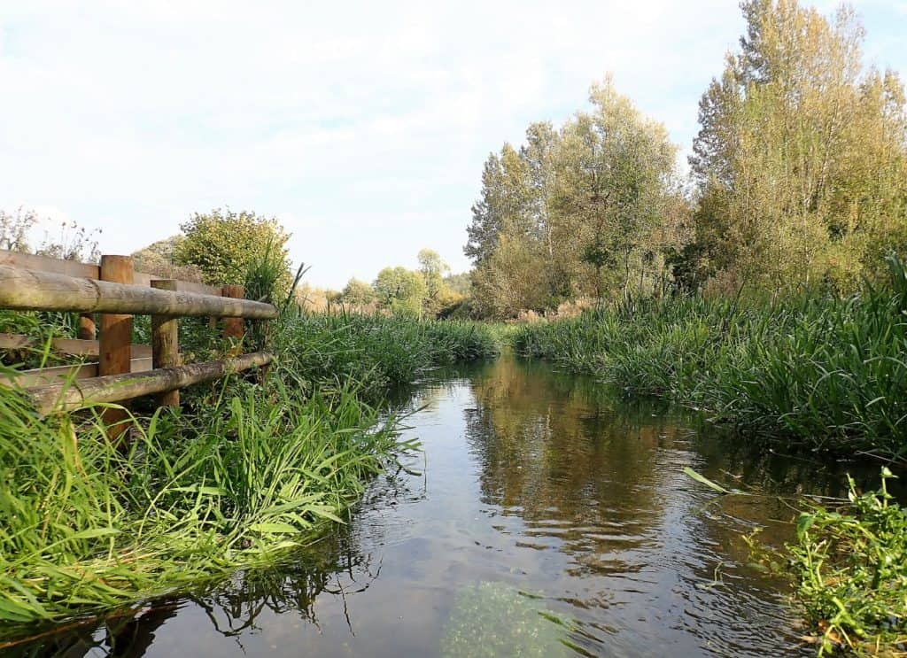 Reserva Natural Frogmore Meadows
