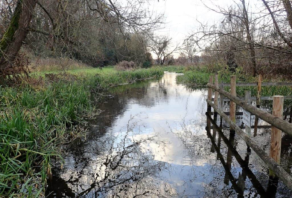Reserva Natural Frogmore Meadows