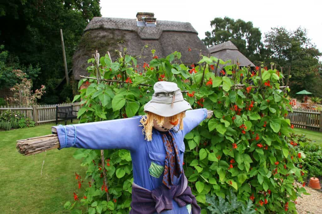 Furzey Gardens