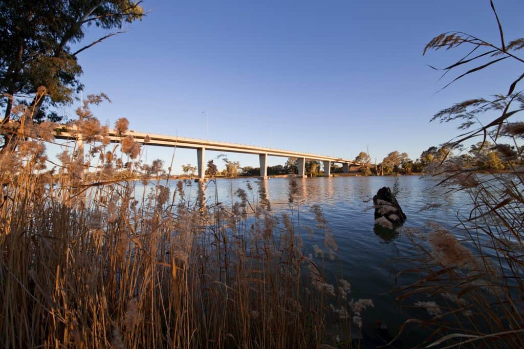 Puente George Chaffey