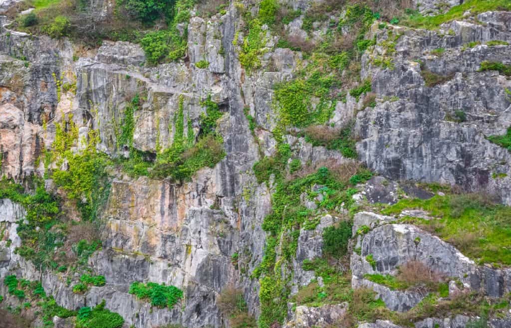 Cueva del Gigante