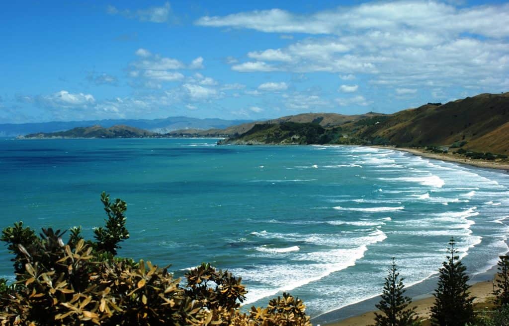 Gisborne