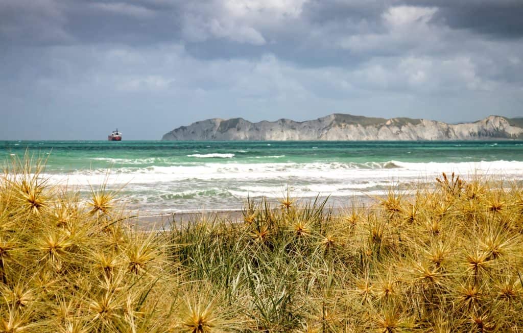 Gisborne