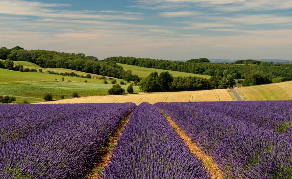 Gloucestershire