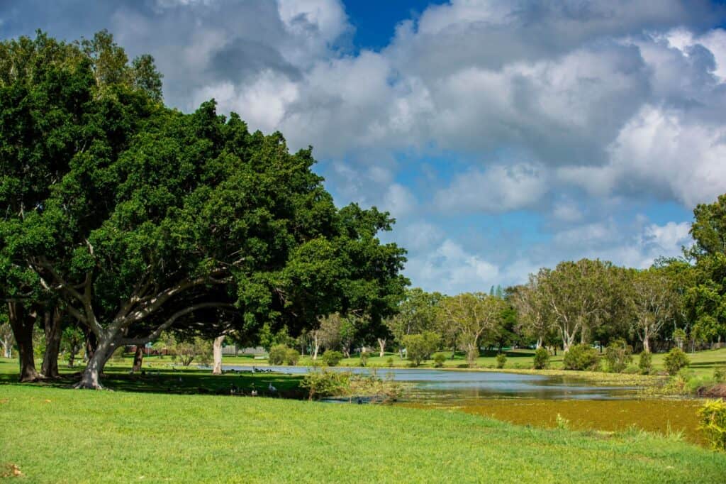 Gooseponds Park