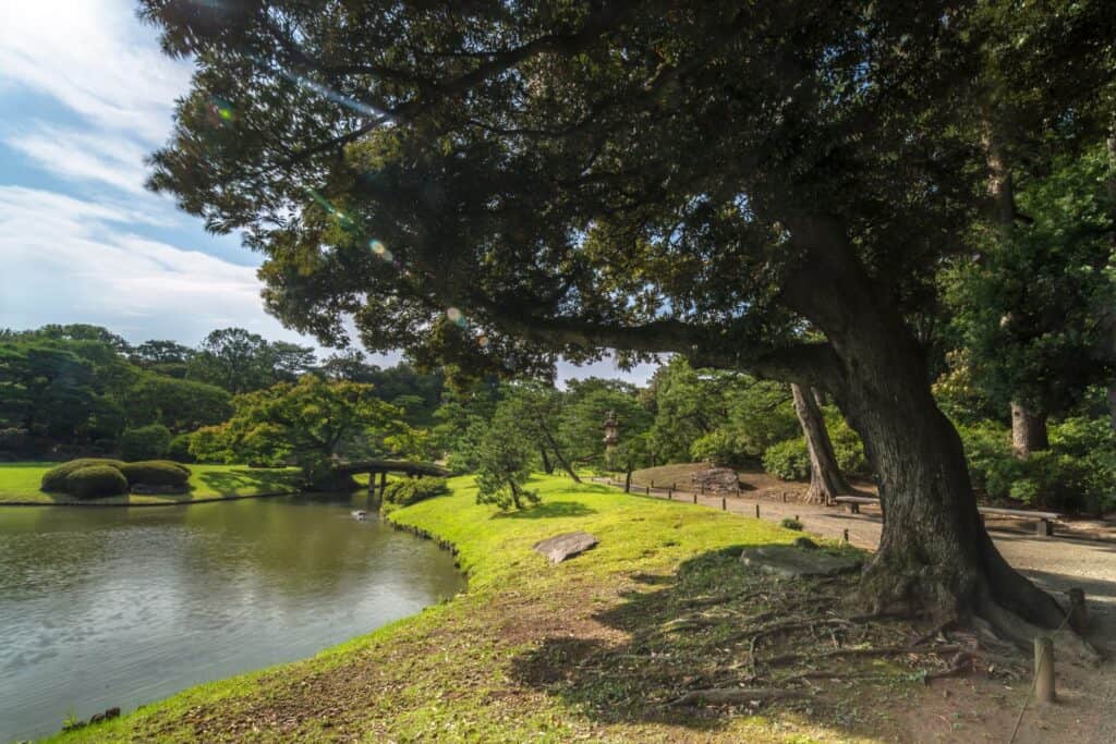 Gooseponds Park