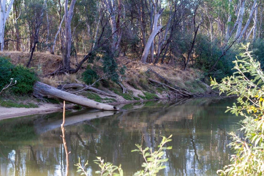 Río Goulburn