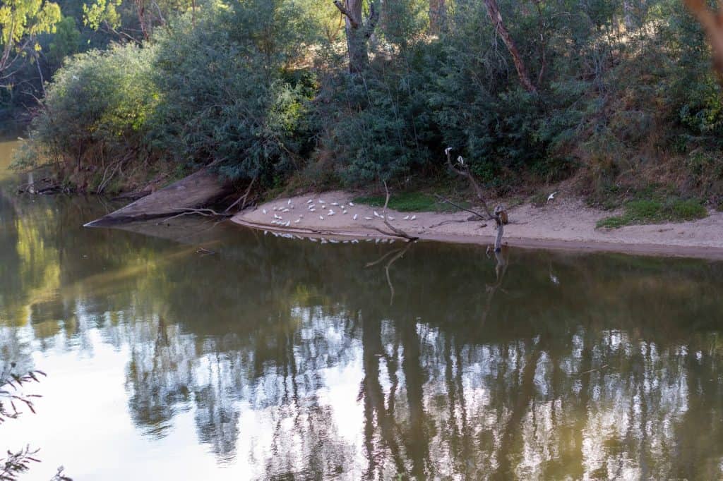 Río Goulburn