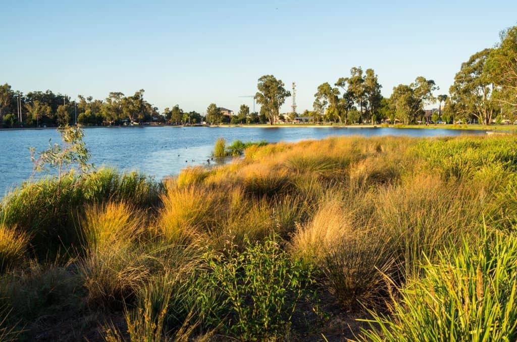 Valle de Goulburn