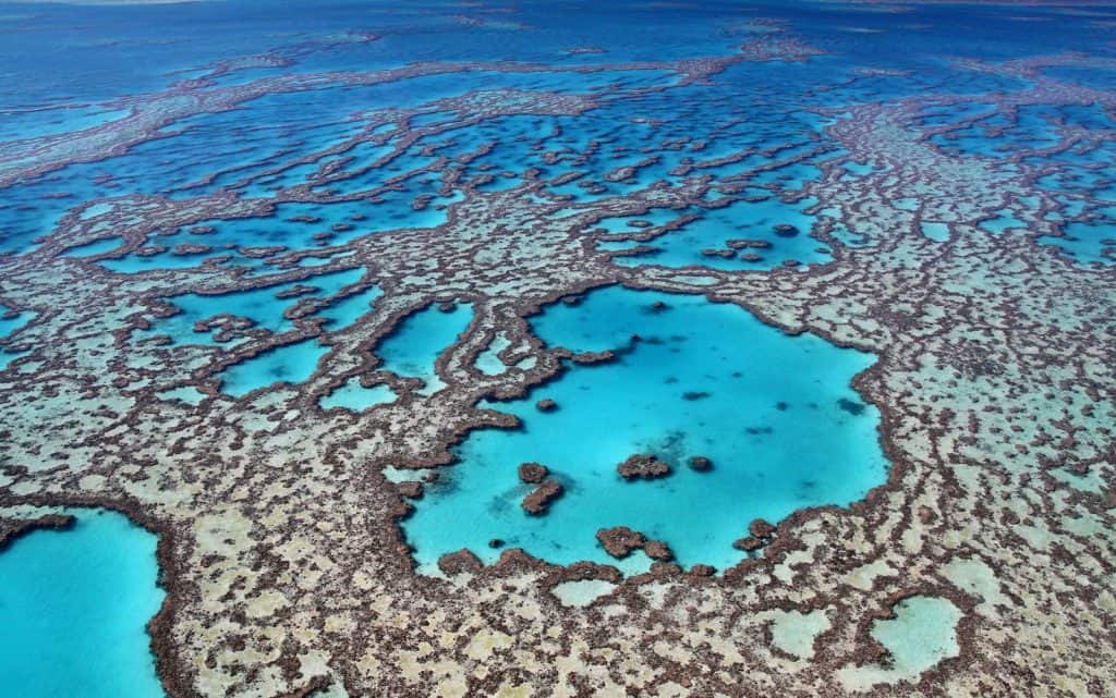 Gran Barrera de Coral