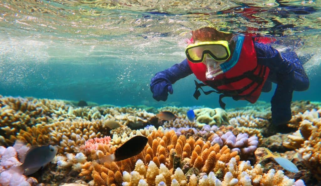 Gran Barrera de Coral