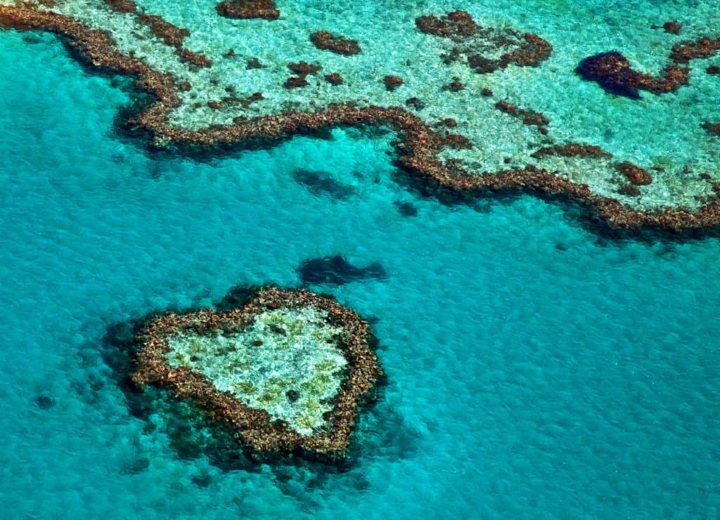 Gran Barrera de Coral