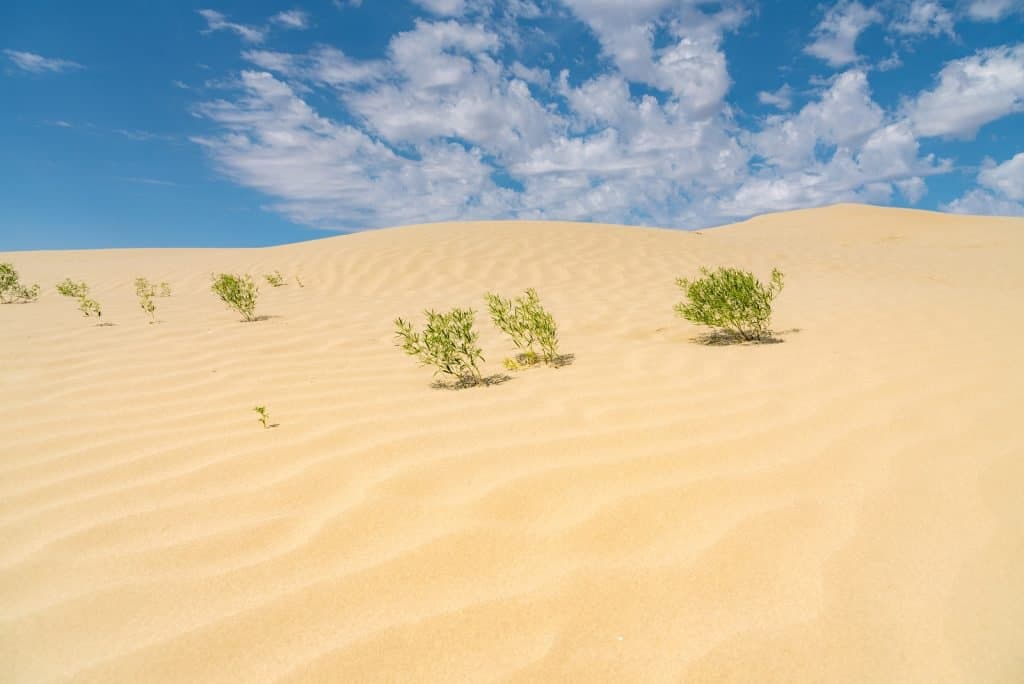 Great Sand Hills