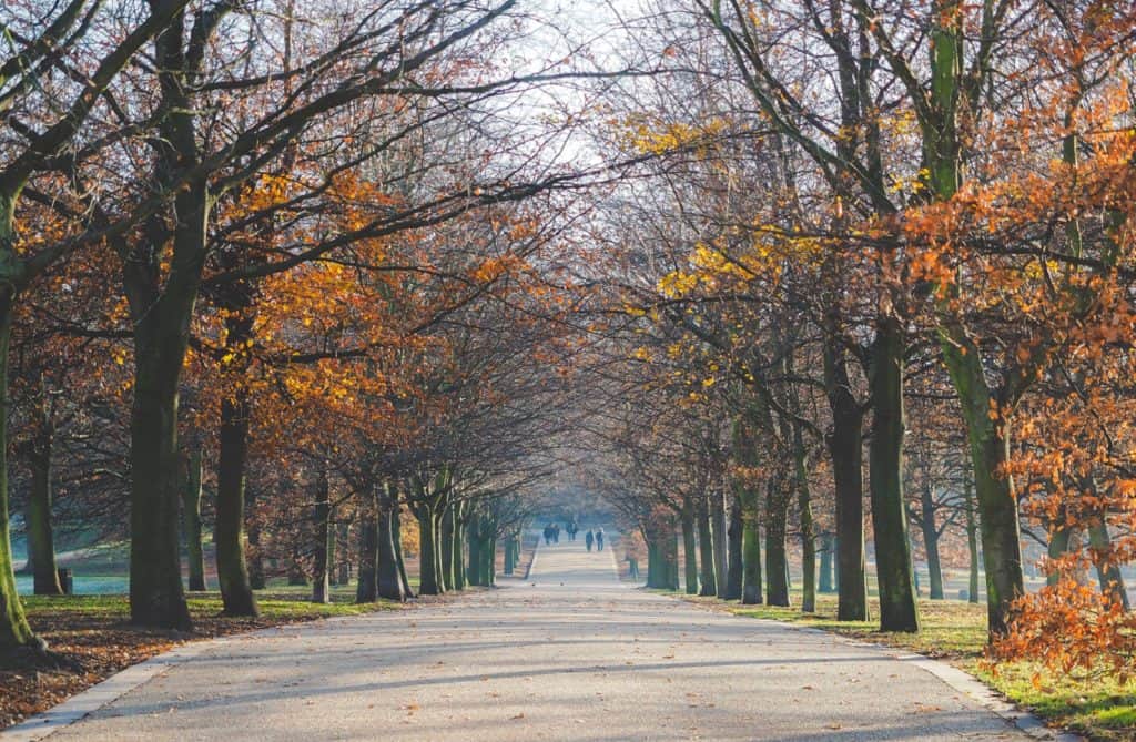 Greenwich