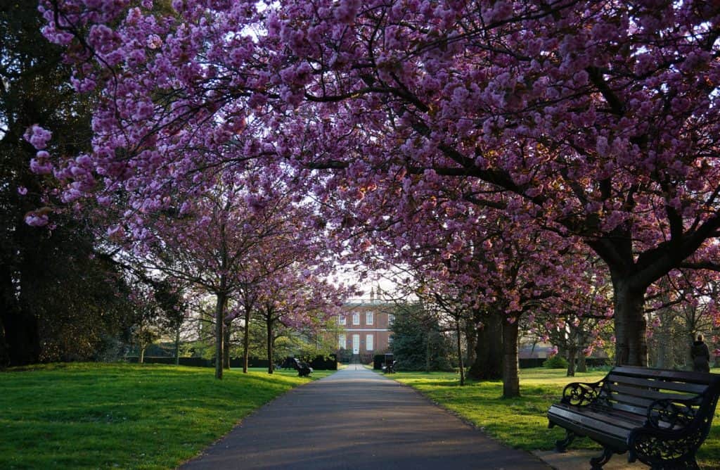 Greenwich Park