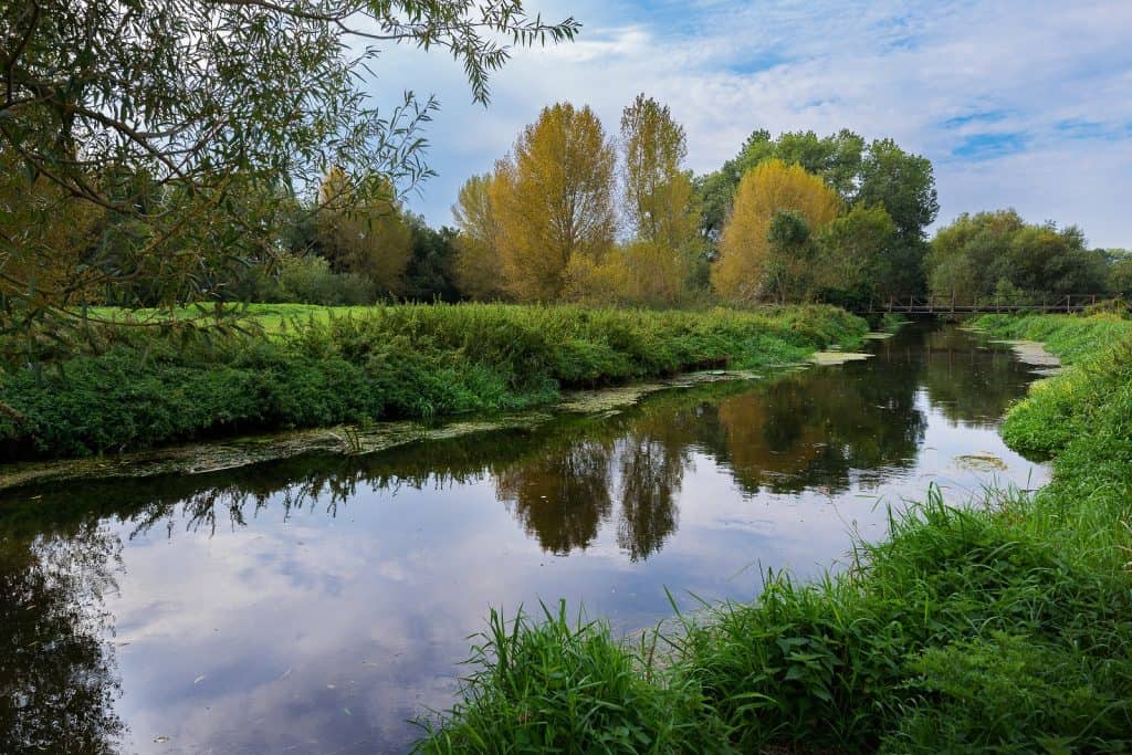 Hambrook Marshes