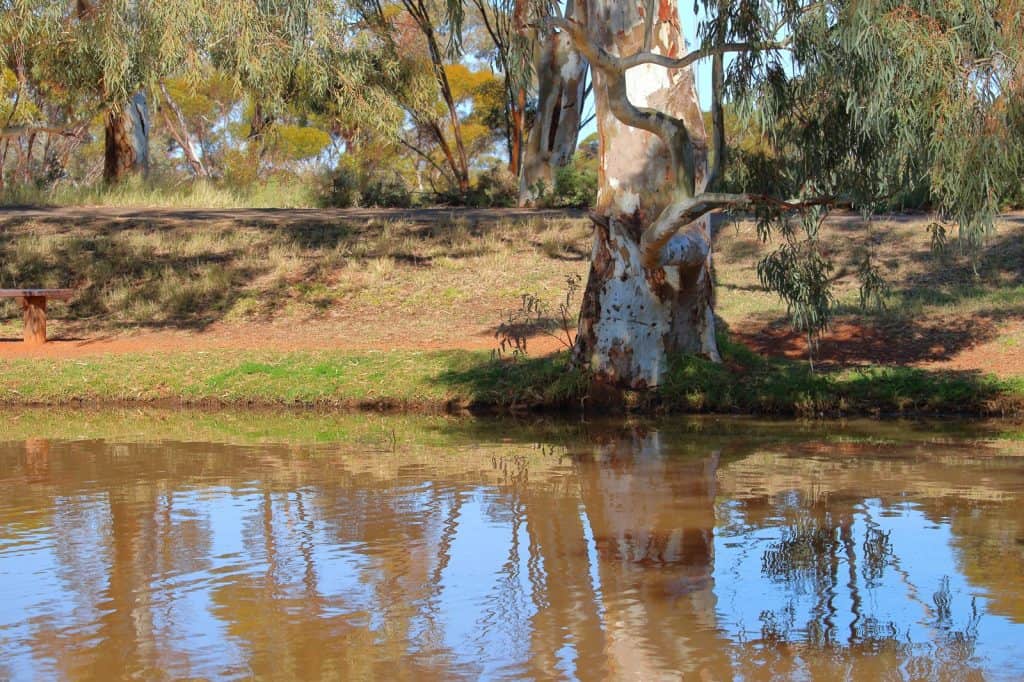 Hammond Park