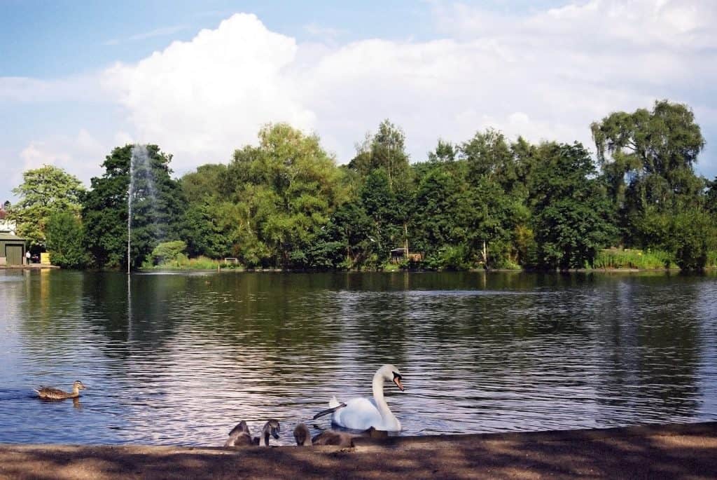 Hammond's Pond