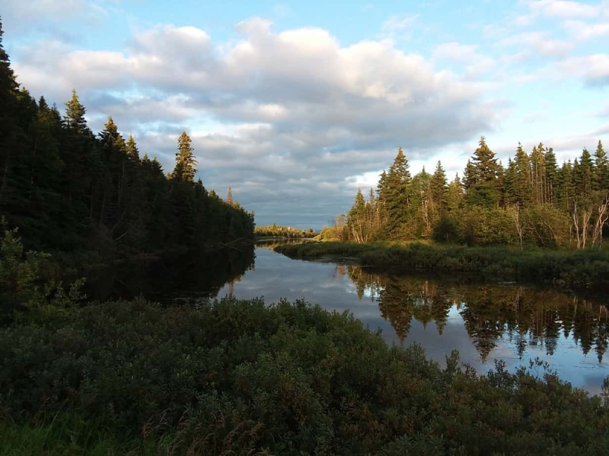 College of the North Atlantic