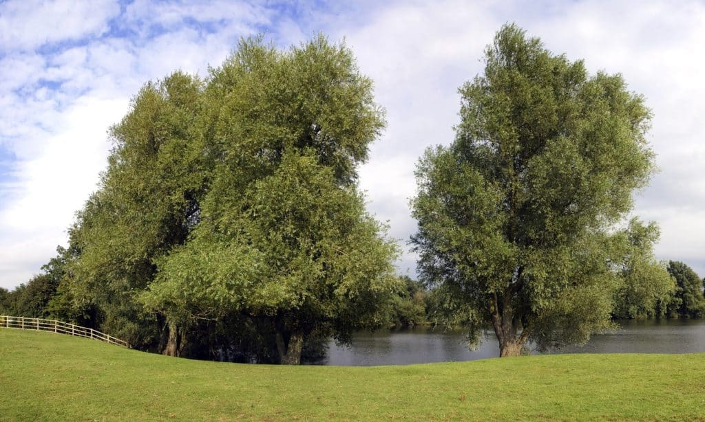 Harrold Odell Country Park