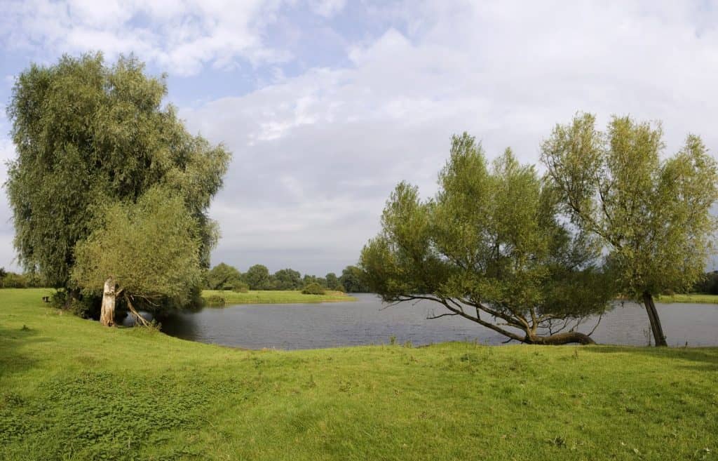 Harrold Odell Country Park