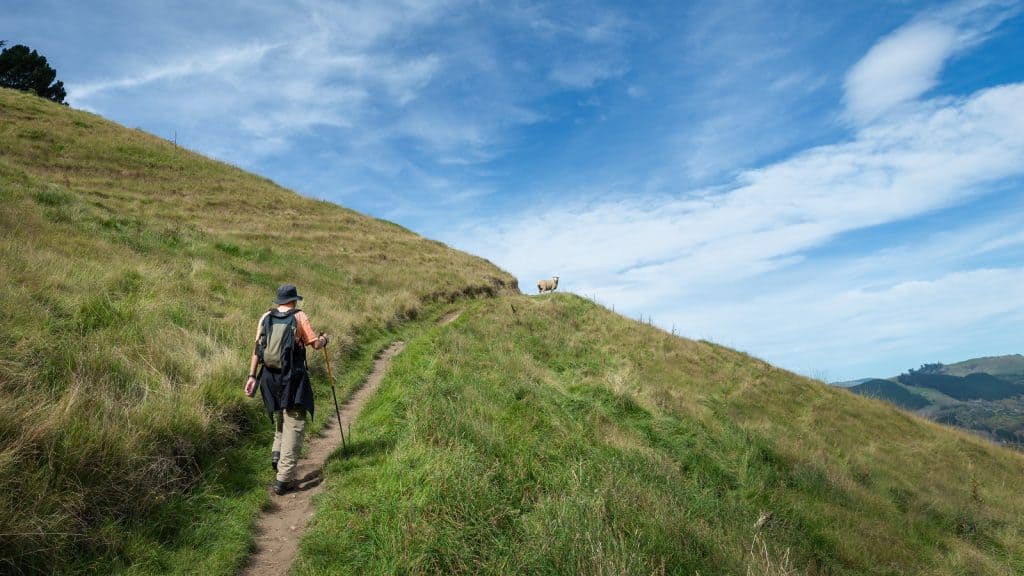 Hawke’s Bay Trails