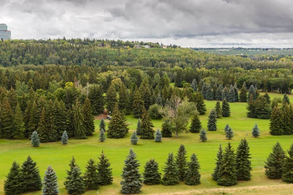Hawrelak Park