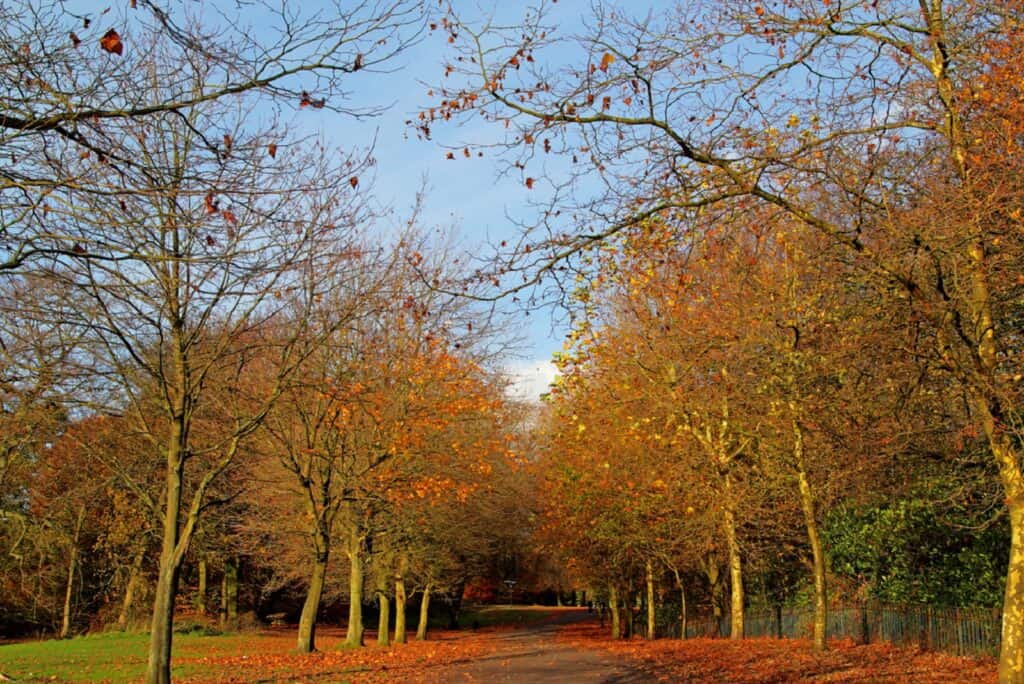 Parque Heaton