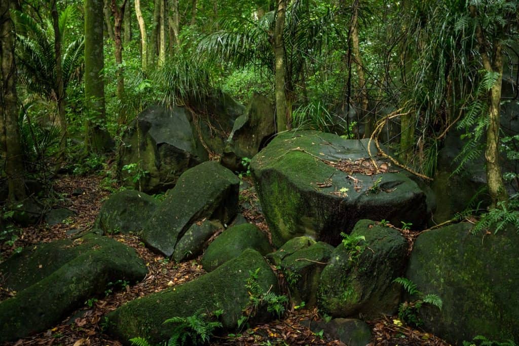 Henrys Reserve