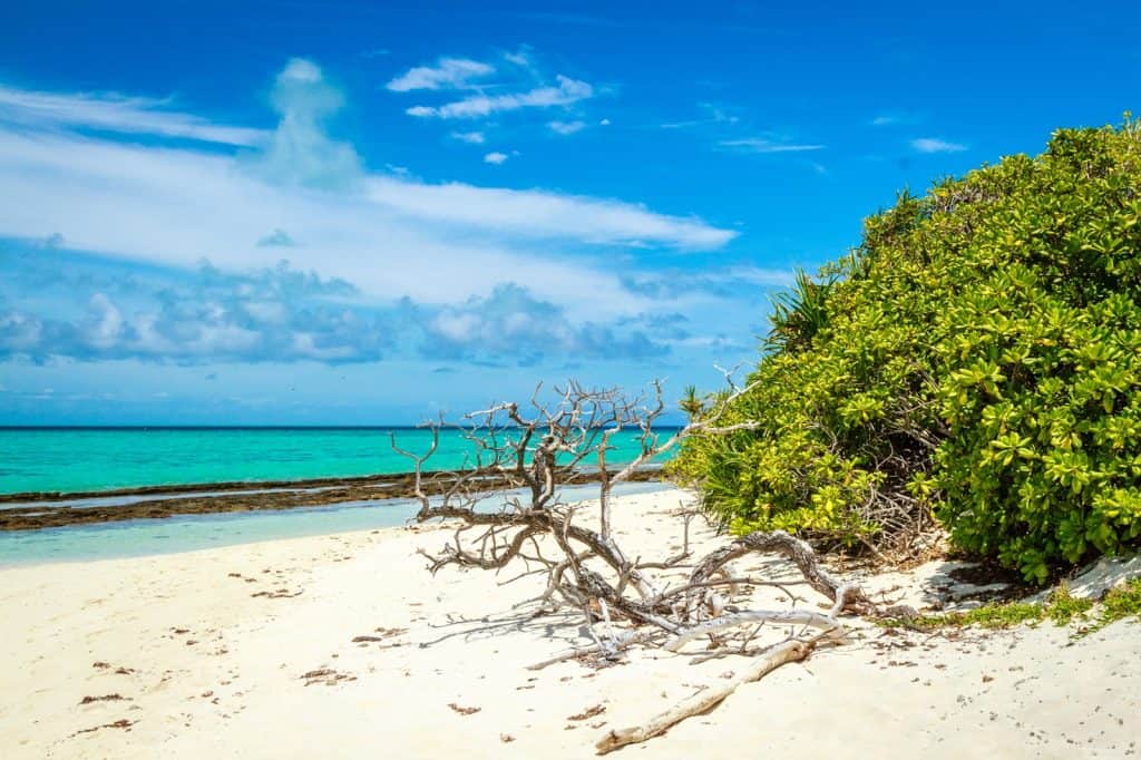 Heron Island