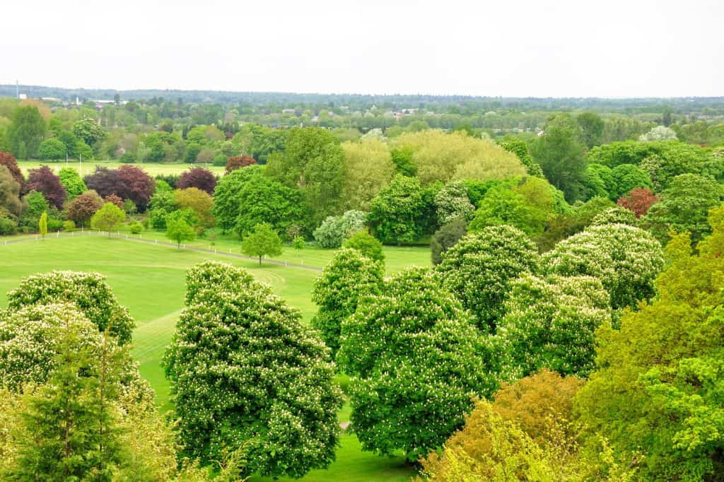 Herschel Park